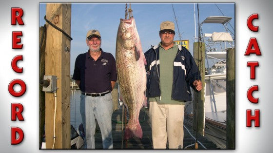 New England Heritage: One Big Striper – Narragansett Beer