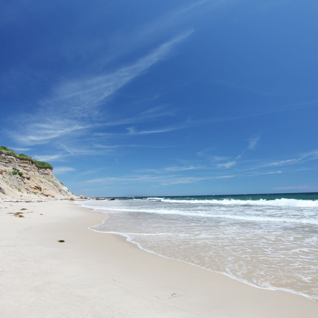 The Best Beaches in Rhode Island – Narragansett Beer